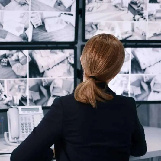 Remote Security System Monitoring