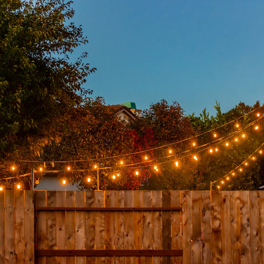 Party Light Installation Services Near me